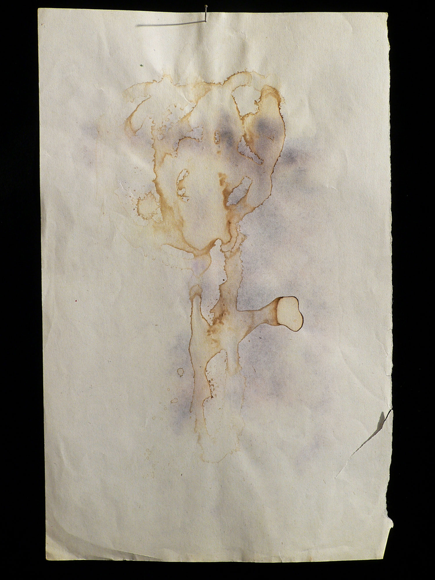 diego-cinquegrana-the-golden-torch-history-art-music-design-drawings-2-carte-minori-sangue-2008